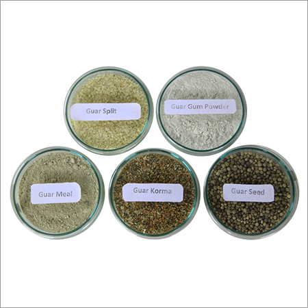Guar Gum Seed