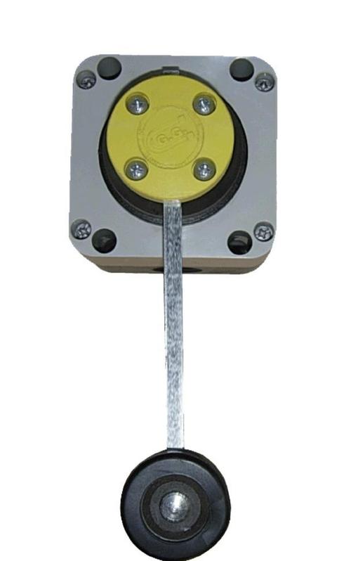 Giovenzana Lever Limit Switch