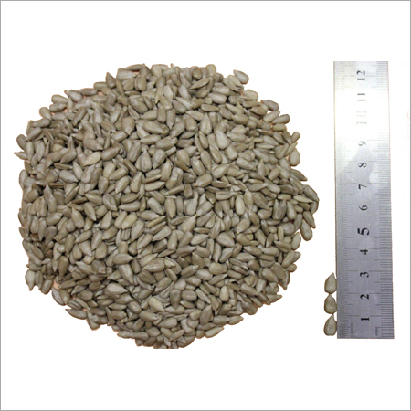Hulled Sunflower Kernel