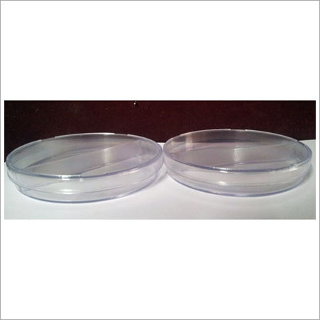 Glass Petri Dish