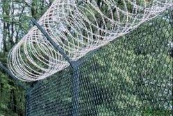 Concertina Wire - Color: Sliver