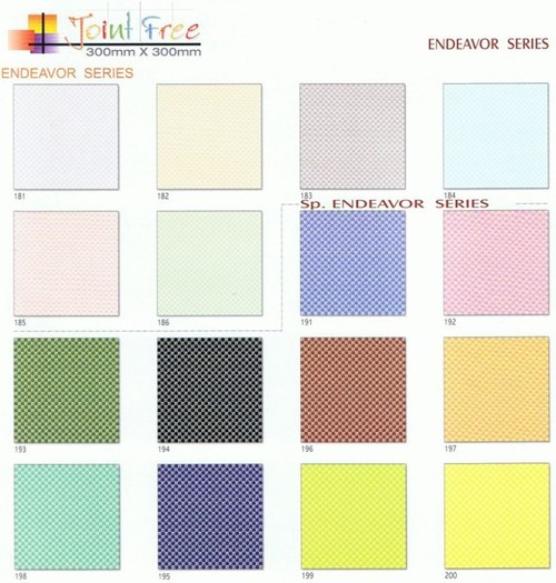 Endeavor Series