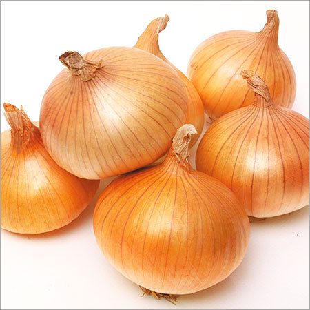 Onion - Yellowish-brown, Round, Variable Diameter | Fresh, Flavorful, Versatile, Nutritious, Firm Texture
