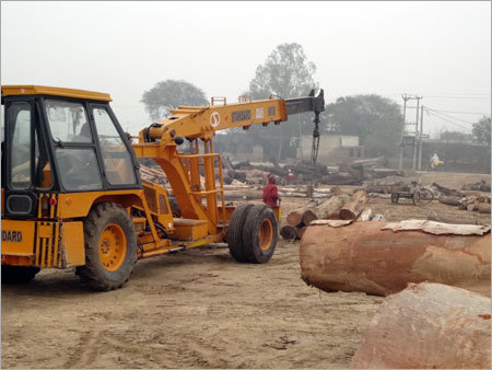 Safeda Round Logs