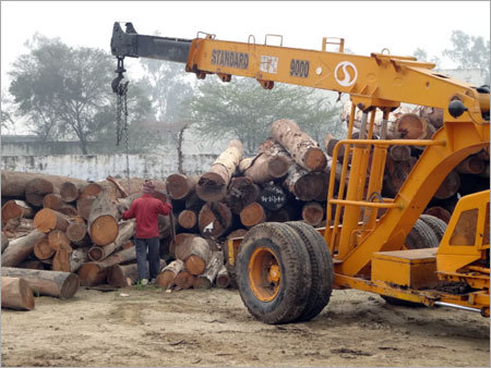 Kikar Logs