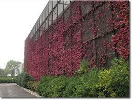 Lengthy Metal Building Facades