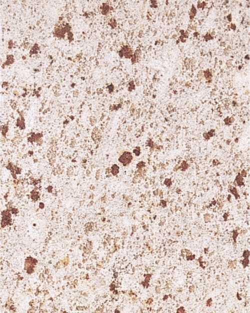 White Galaxy Granite