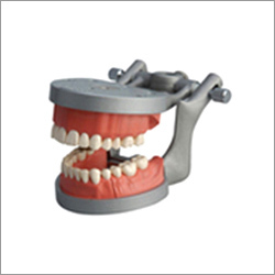 Modupro Endo