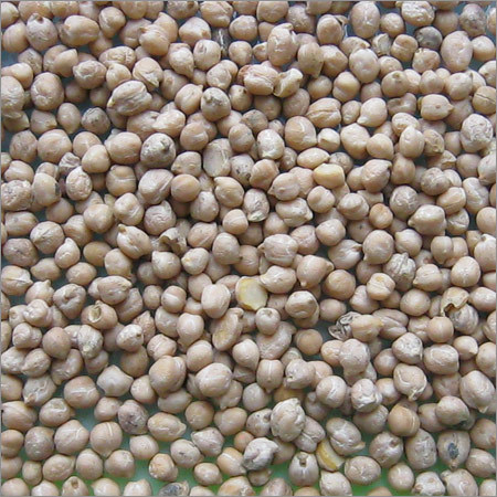 Chick Peas