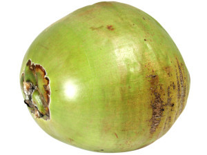Green Tender Coconut