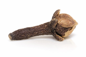 Black Clove