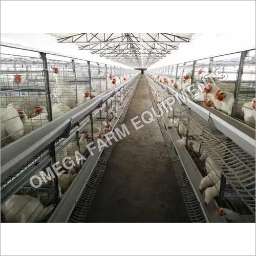 Fully Automatic Broiler Breeder Battery Cage system