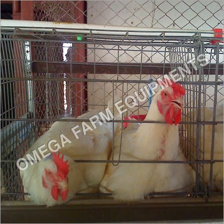 2 Tier Broiler Breeder Parent Cages