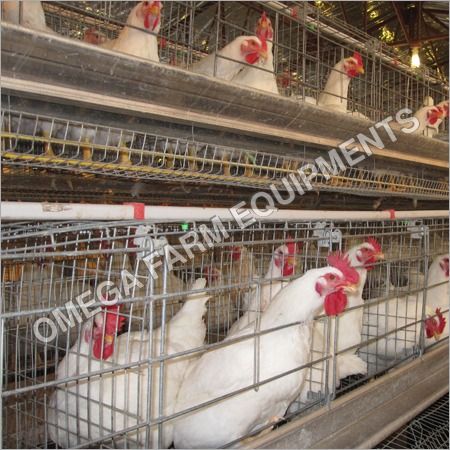 Broiler Breeder Layer Cage