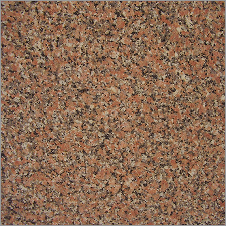 Indian Porino Granite