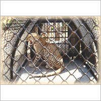 Forest Animal Trap