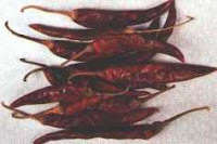 Spicy Red Chilly