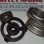 Valve Springs