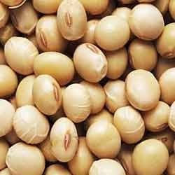 Raw Soya Bean