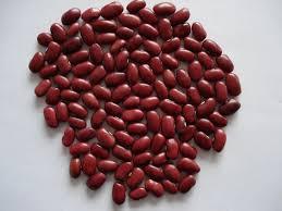 Rajma