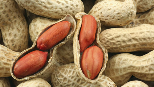 Raw Pea Nut