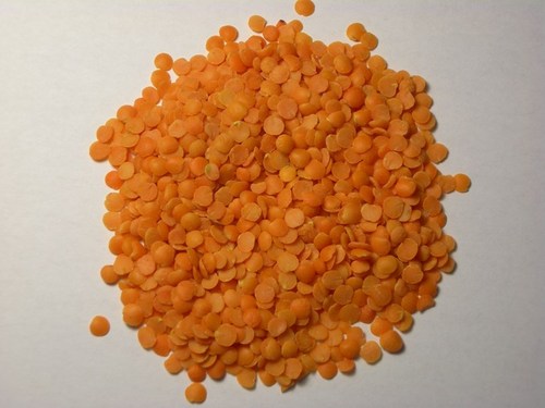 Masoor Dal