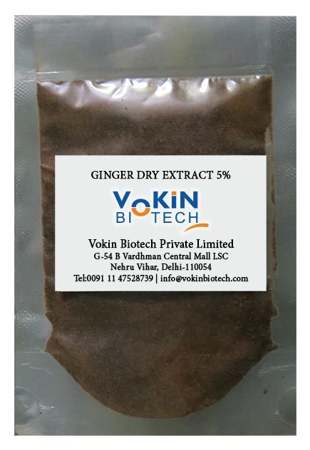 Ginger-Dry-Extract-5%