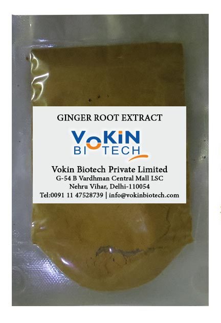 Ginger-Root-Extract