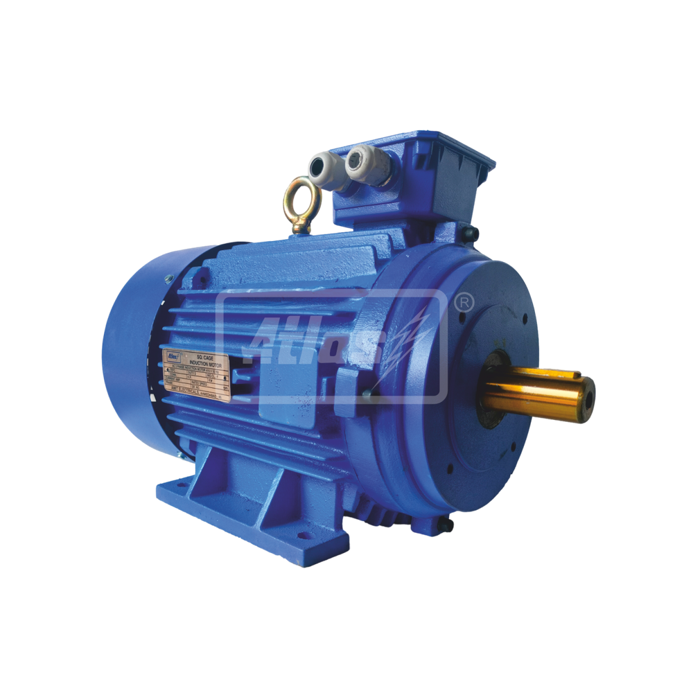Three Phase Motors