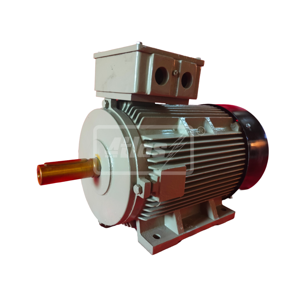 Two Speed Motors