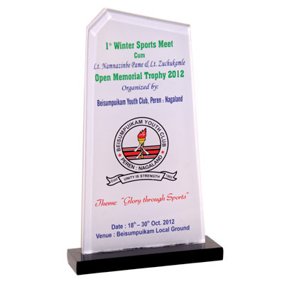 Acrylic Trophy