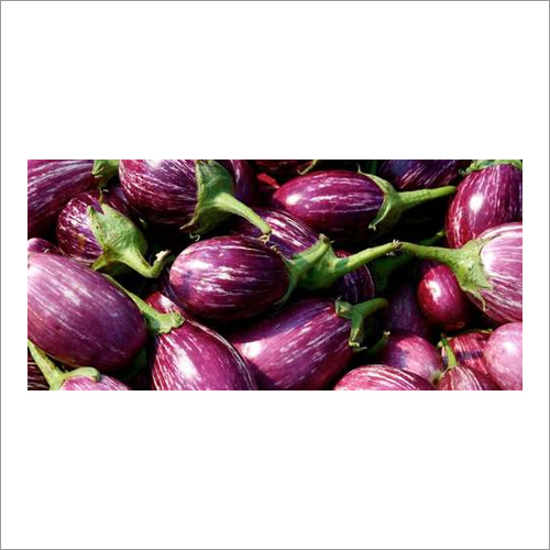 Organic Brinjal