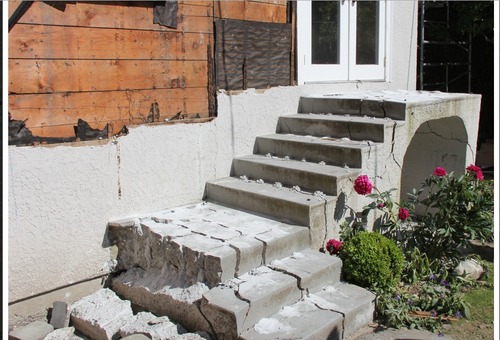 Resident Demolition Project