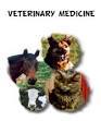 Veterinary Pharmaceuticals Products