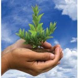 Environmental Impact Assessment Report