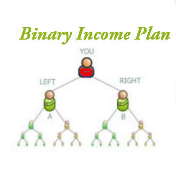 Binary Income Plan