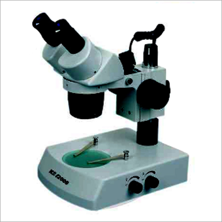 Stereo Microscope
