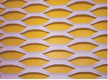 Expanded Metal Building`s Facades