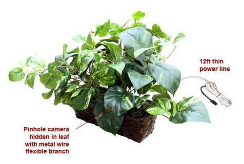 SPY SECRET HIDDEN FAKE MONEY PLANT CAMERA IN DELHI INDIA