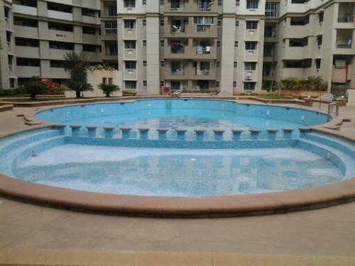 Swimming Pool Contractor
