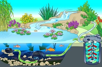 Swimming Pool Design Service Provider