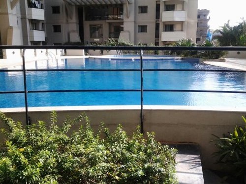 Swimming Pool maintenance service
