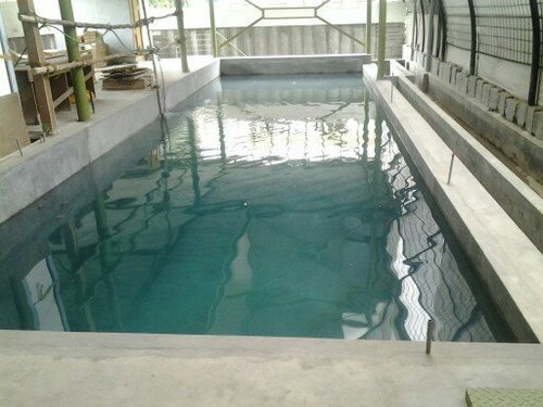 Diving Pool Construction