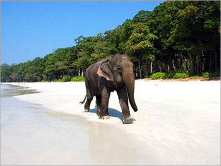 Andaman Tour Packages