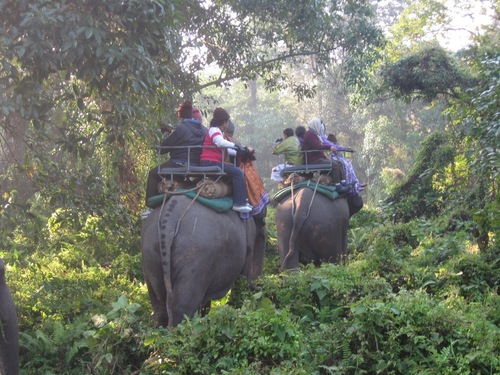 North East India Tour Packages