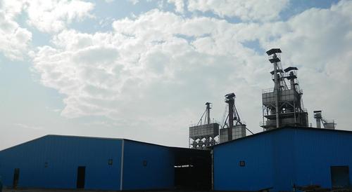 Parboiled Rice Plant
