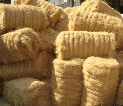 Coir Fiber