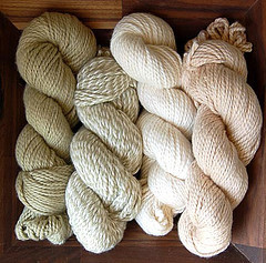 Pure Cotton yarn