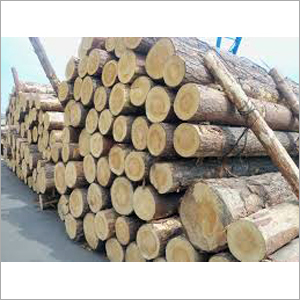 Pine Wood Logs