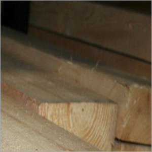 Pine Softwood
